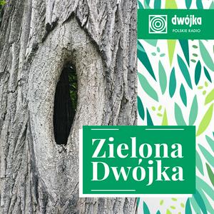 Słuchaj Zielona Dwójka w aplikacji